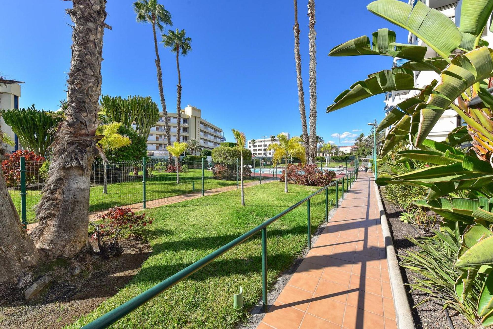 Modern Iguazu Apartment 普拉亚戴尔雷安格莱斯 外观 照片